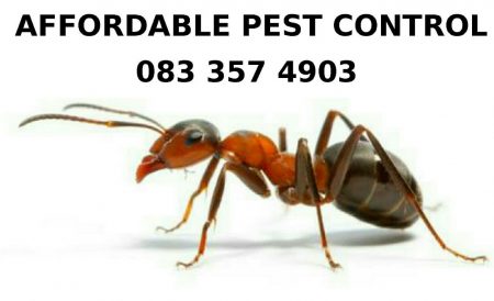 Affordable Pest Control